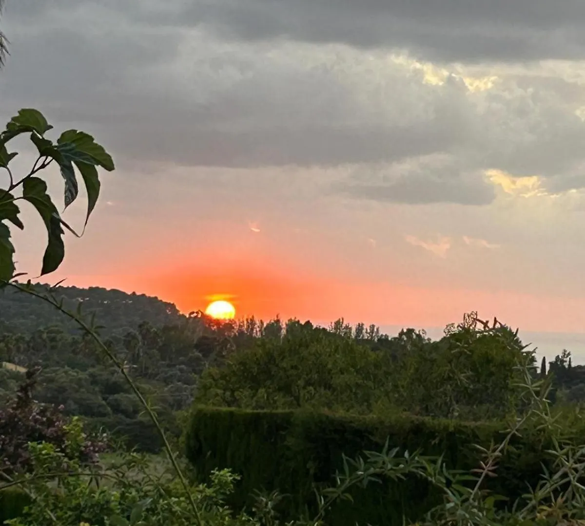 Villa Son Vent Valldemossa Испания